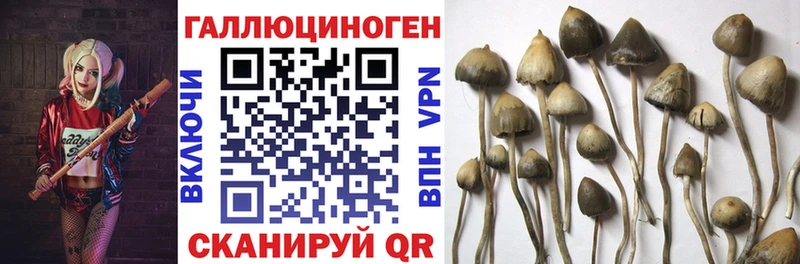 hydra ТОР  Вольск  Галлюциногенные грибы мухоморы  закладки 